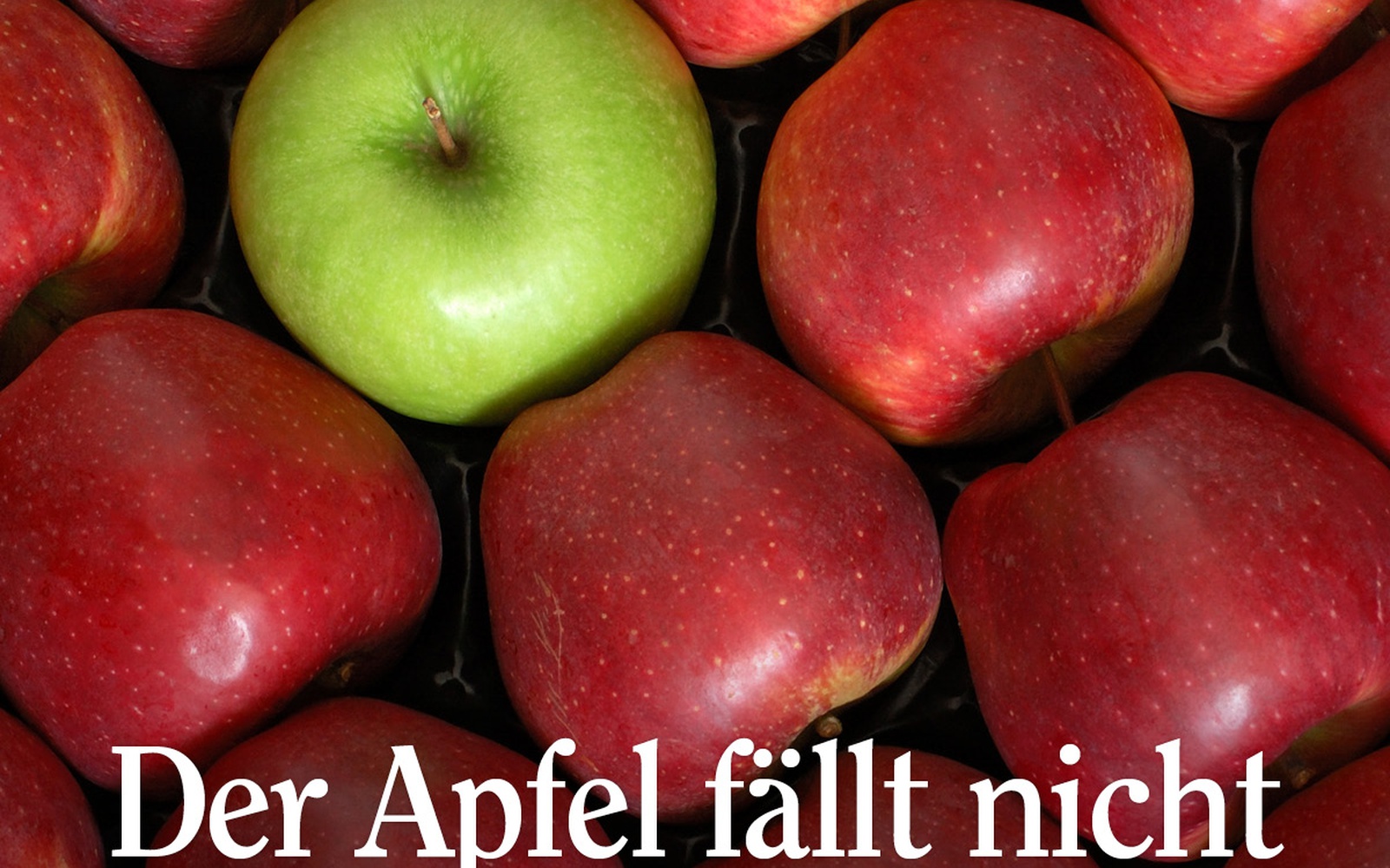 Der Apfel fällt nicht weit vom Stamm