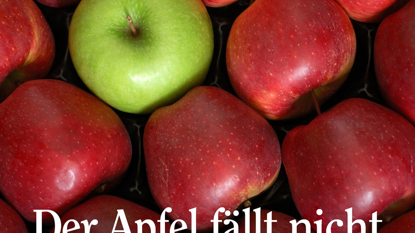 Der Apfel Fällt Nicht Weit Vom Stamm Bedeutung Der Apfel fällt nicht weit vom Stamm