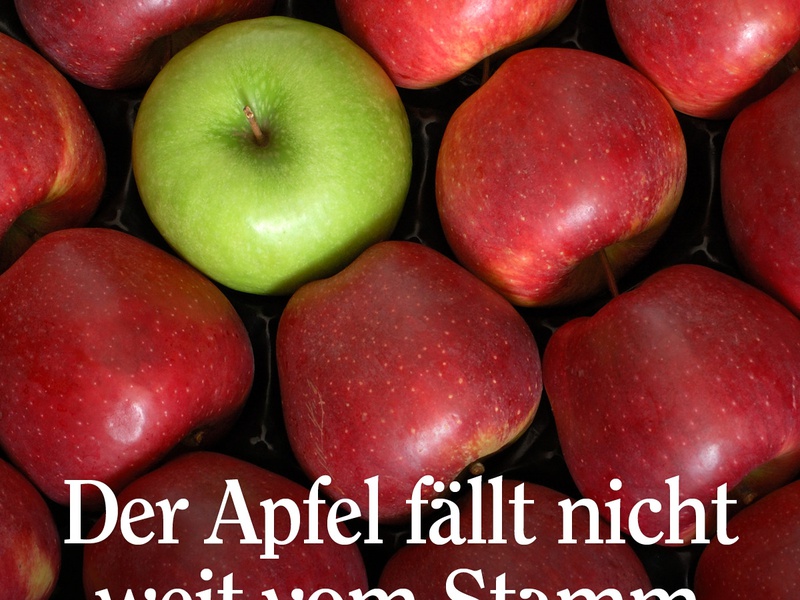 Der Apfel fällt nicht weit vom Stamm