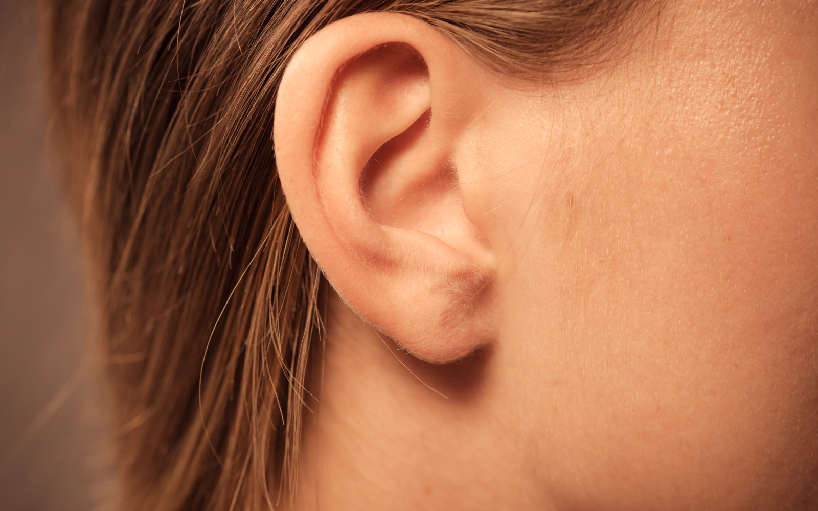 Wie ist das Ohr aufgebaut und wie funktioniert das Hören?