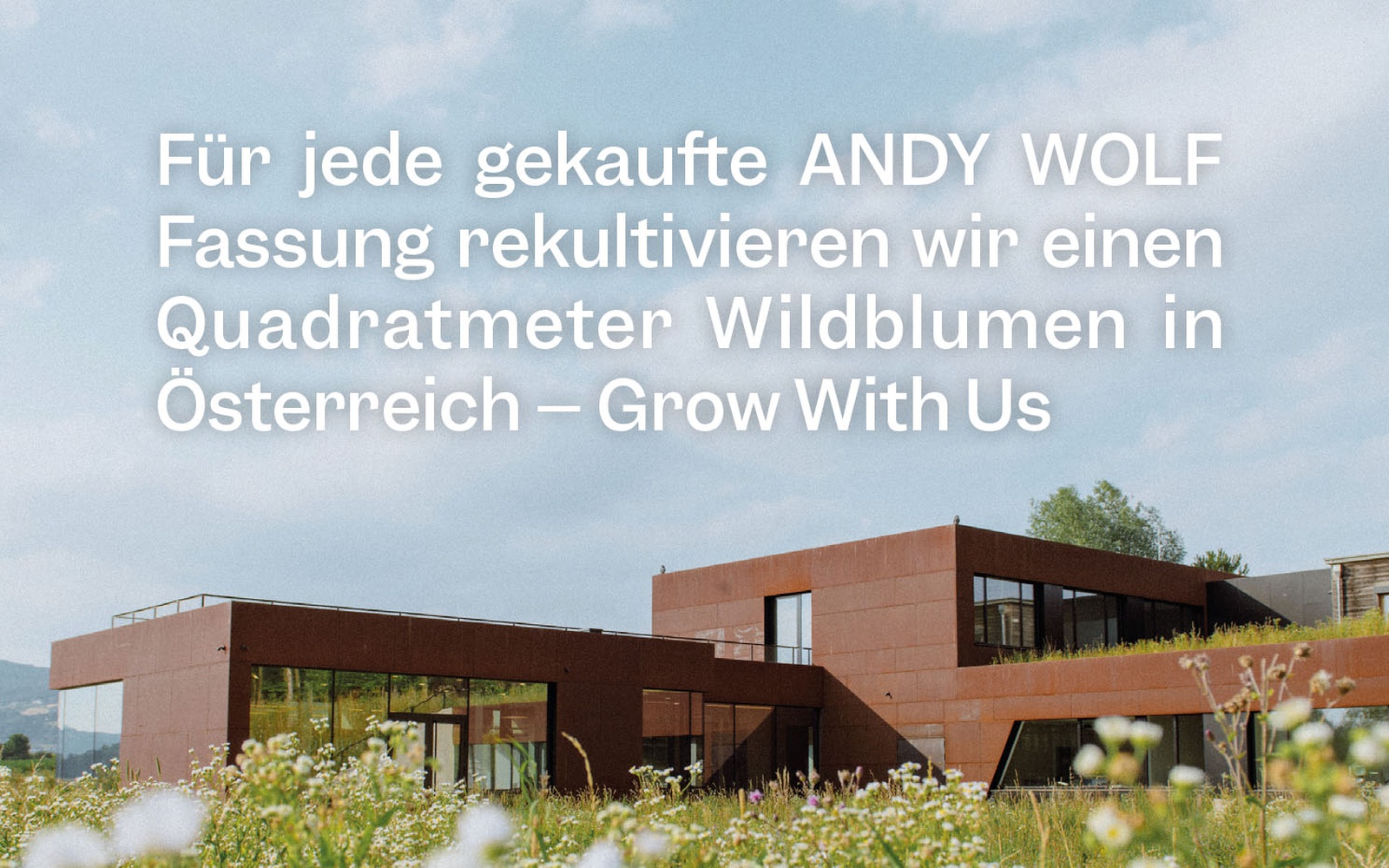 ANDY WOLF - Grow With Us